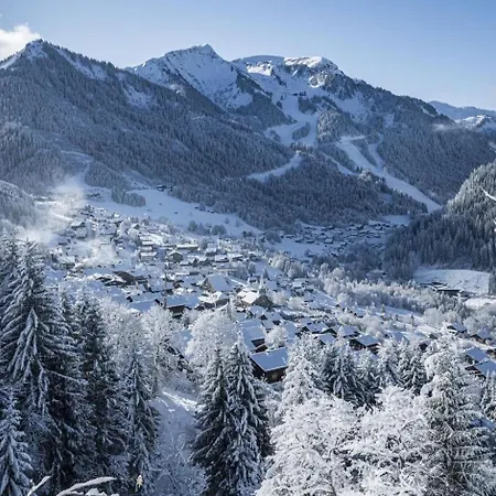 Alba Alb Mountain & Sunny 10 Pers * Châtel