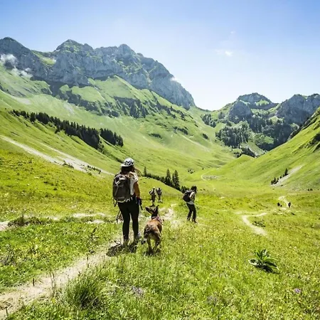 Alba Alb Mountain & Sunny 10 Pers Chalet *