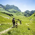 Alba Alb Mountain & Sunny 10 Pers Horská chata *