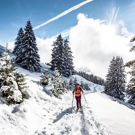 Alba Alb Mountain & Sunny 10 Pers *