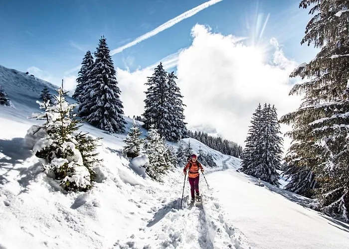 Alba Alb Mountain & Sunny 10 Pers *