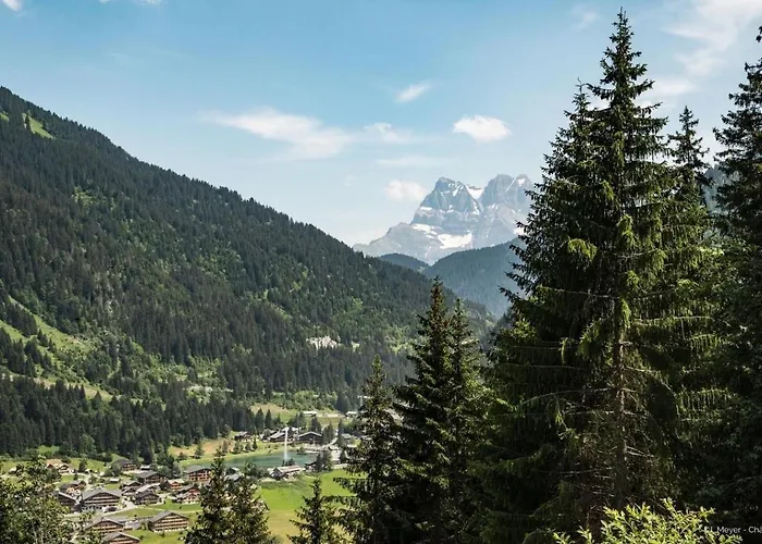 Alba Alb Mountain & Sunny 10 Pers Châtel